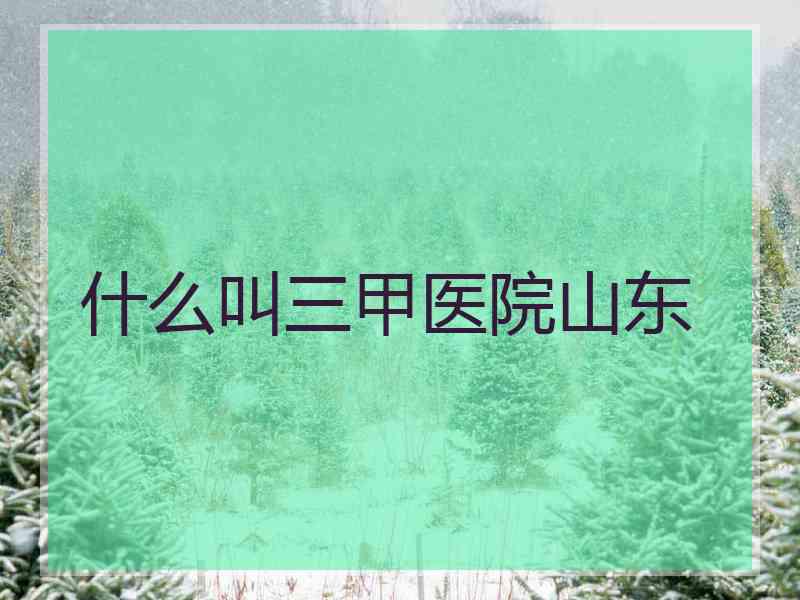什么叫三甲医院山东