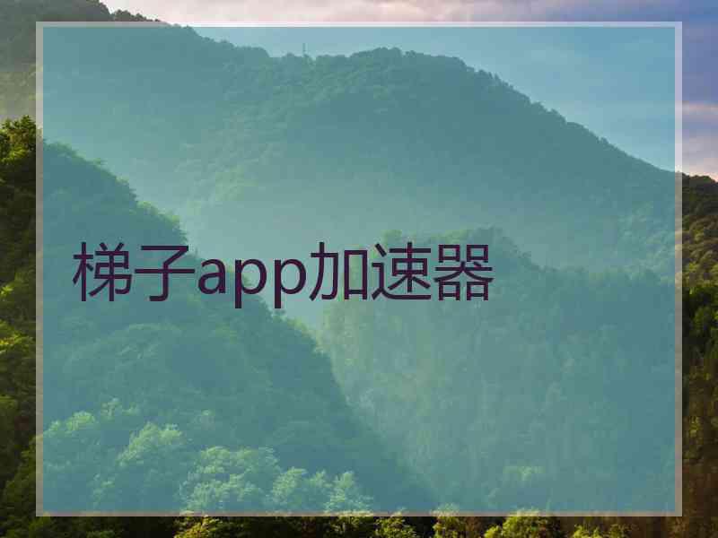 梯子app加速器