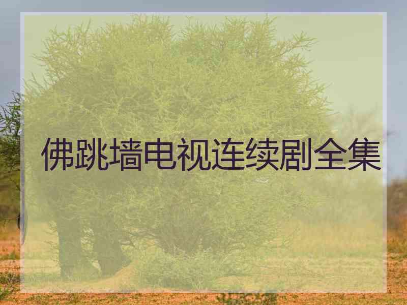 佛跳墙电视连续剧全集