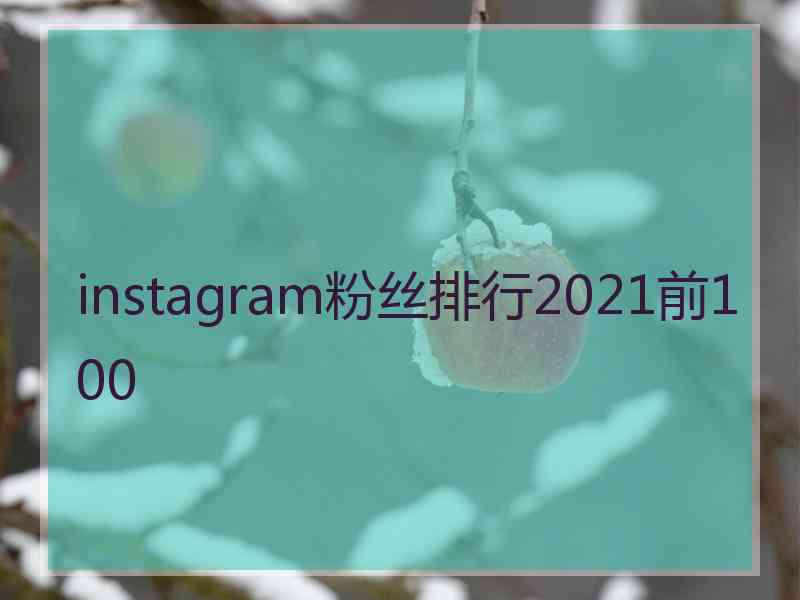 instagram粉丝排行2021前100