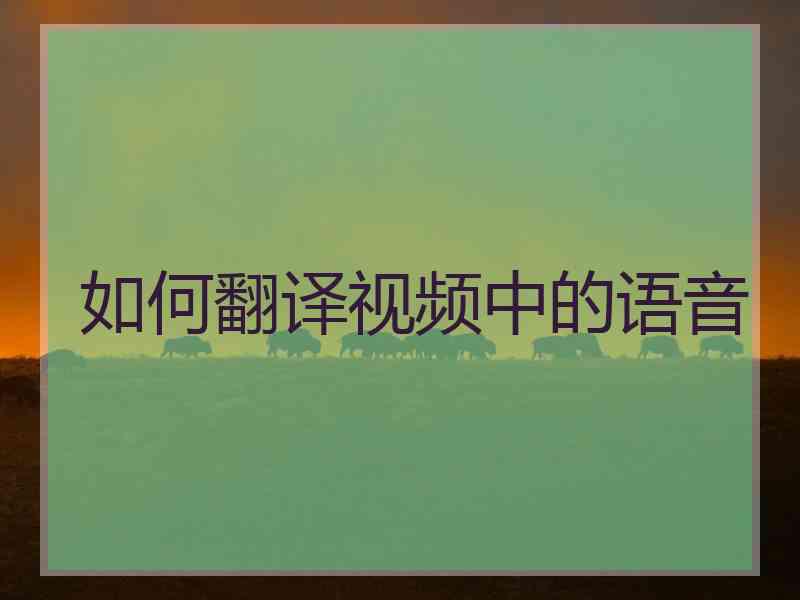 如何翻译视频中的语音
