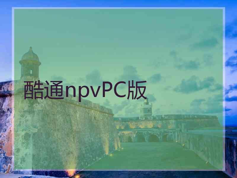 酷通npvPC版
