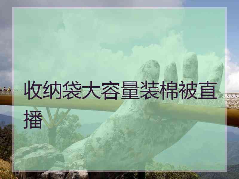 收纳袋大容量装棉被直播