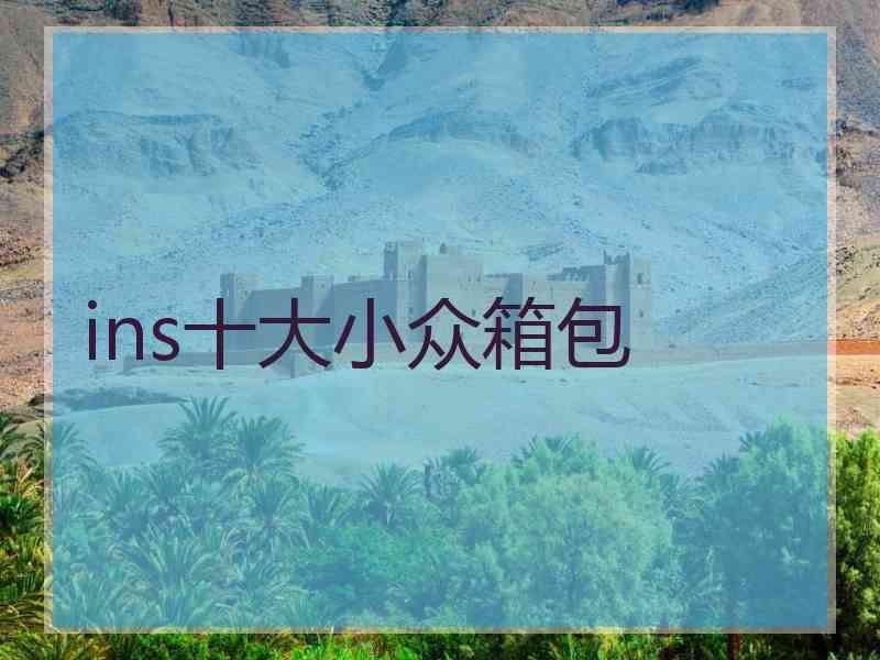 ins十大小众箱包