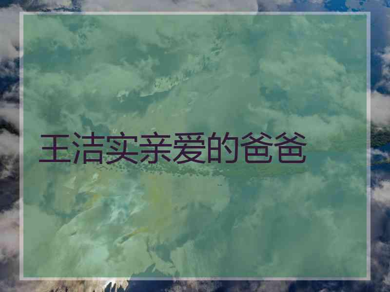 王洁实亲爱的爸爸