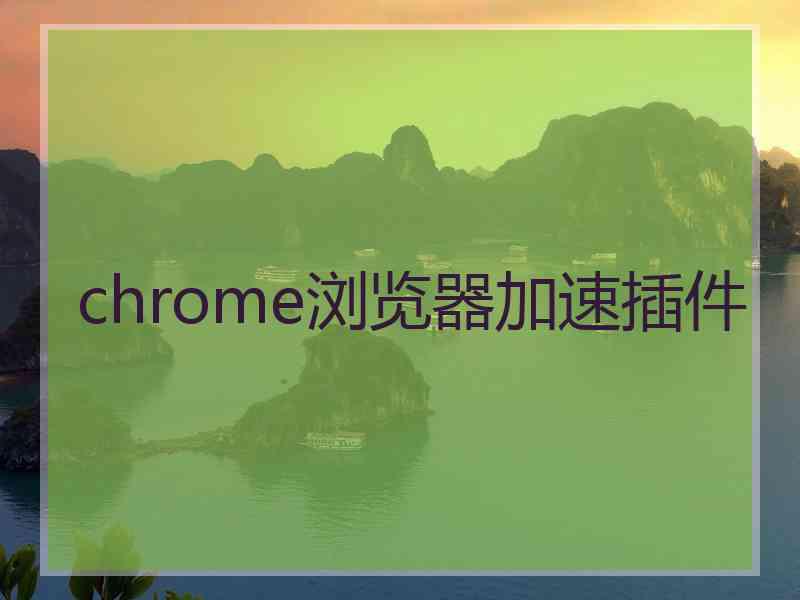 chrome浏览器加速插件