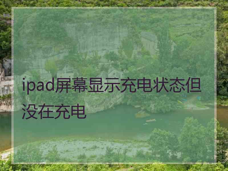 ipad屏幕显示充电状态但没在充电