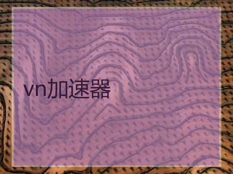vn加速器