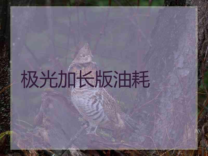 极光加长版油耗