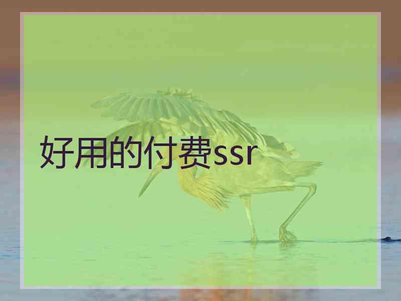 好用的付费ssr