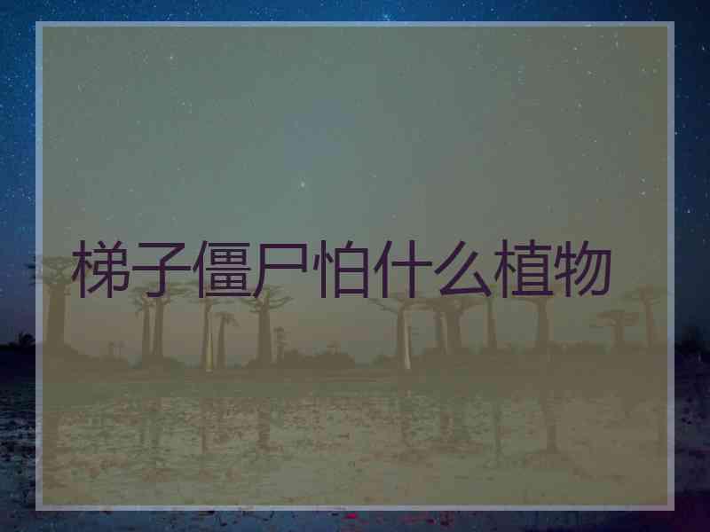 梯子僵尸怕什么植物