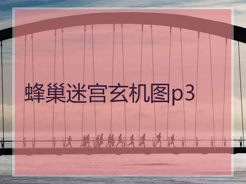 蜂巢迷宫玄机图p3