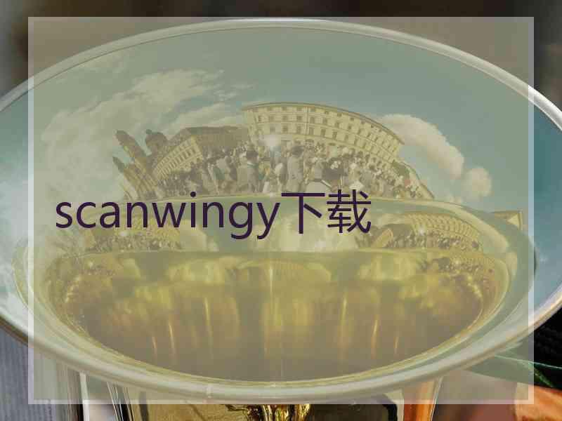 scanwingy下载