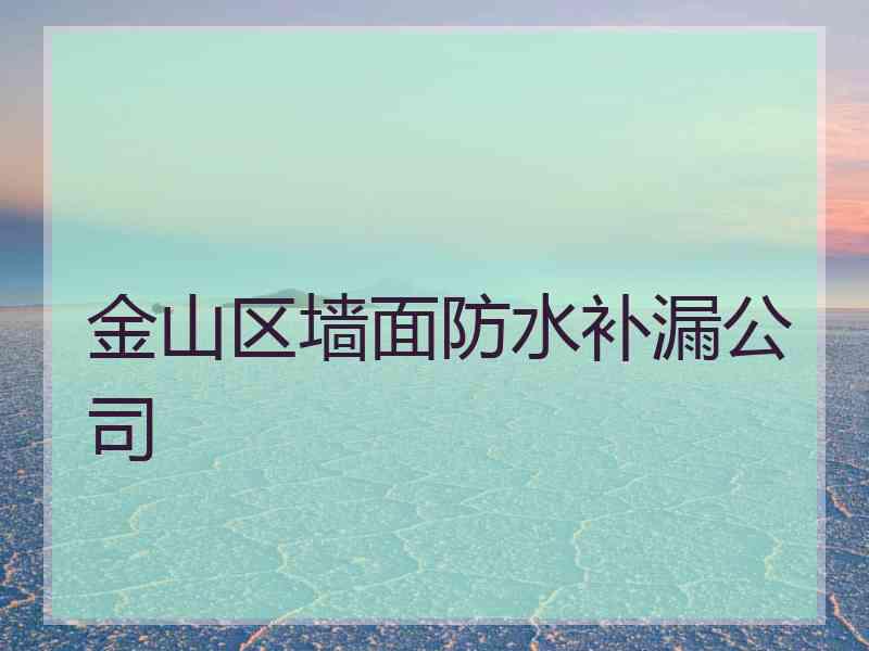 金山区墙面防水补漏公司