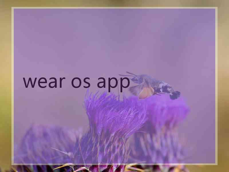 wear os app