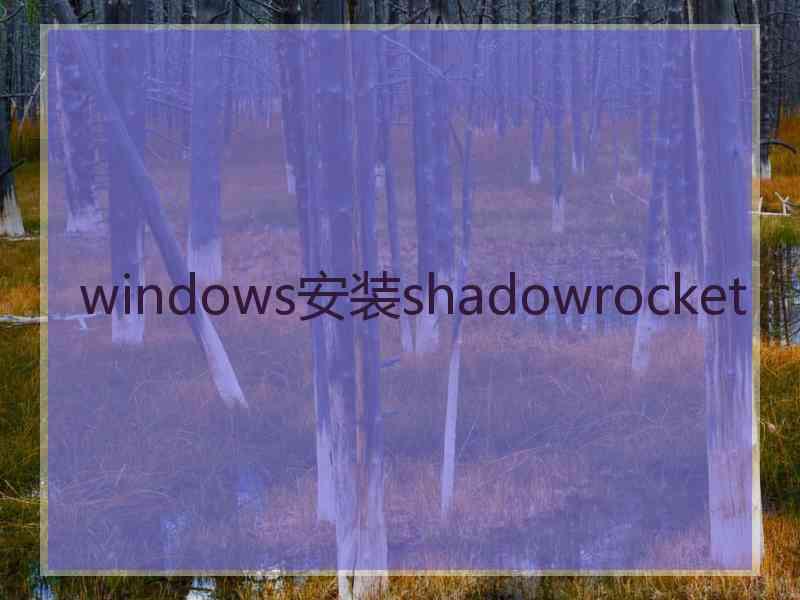 windows安装shadowrocket