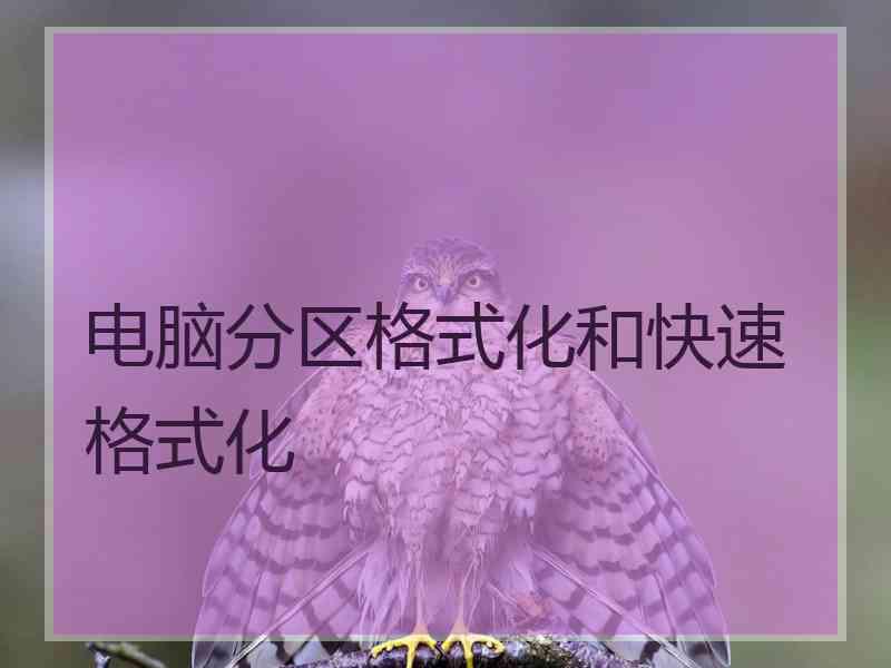 电脑分区格式化和快速格式化