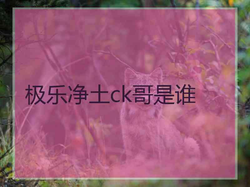 极乐净土ck哥是谁