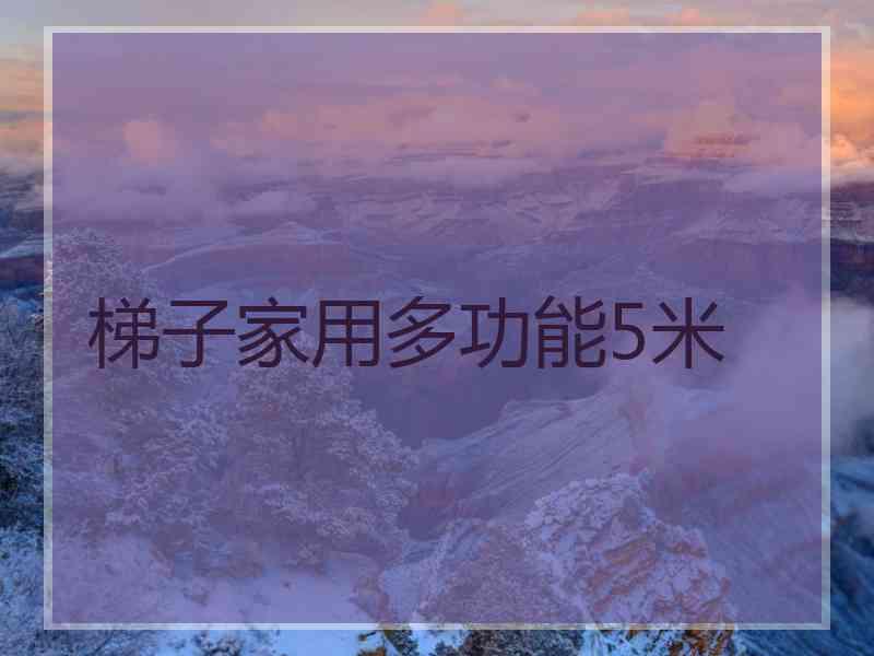 梯子家用多功能5米