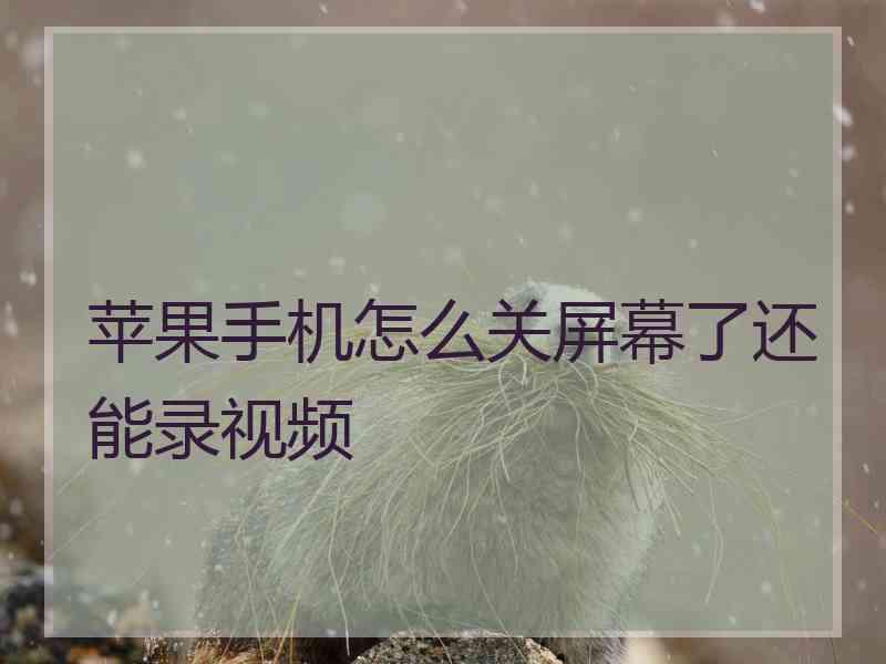 苹果手机怎么关屏幕了还能录视频