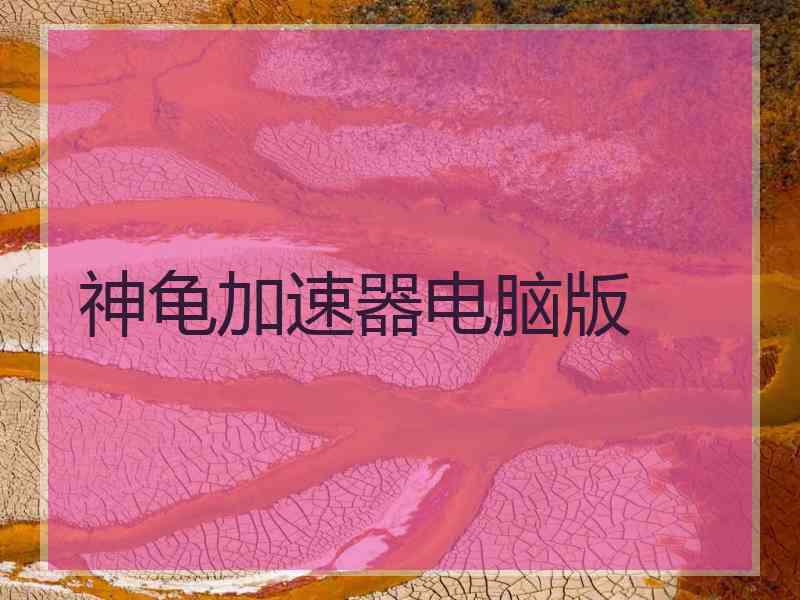 神龟加速器电脑版