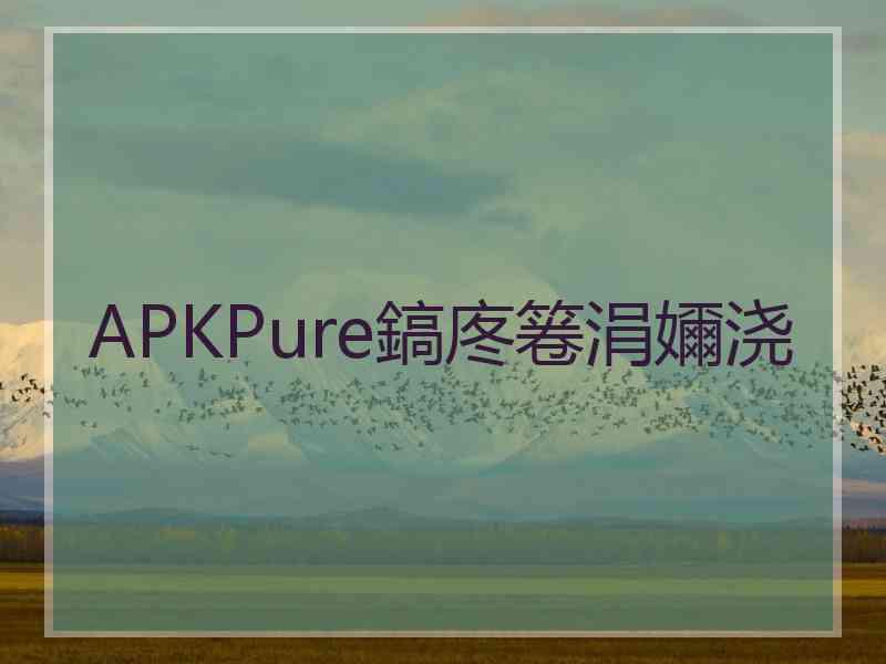 APKPure鎬庝箞涓嬭浇