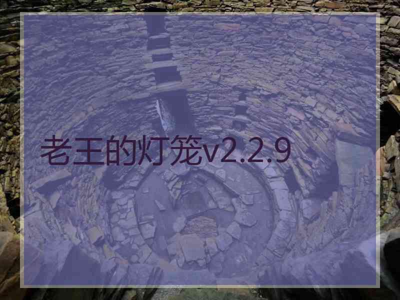 老王的灯笼v2.2.9