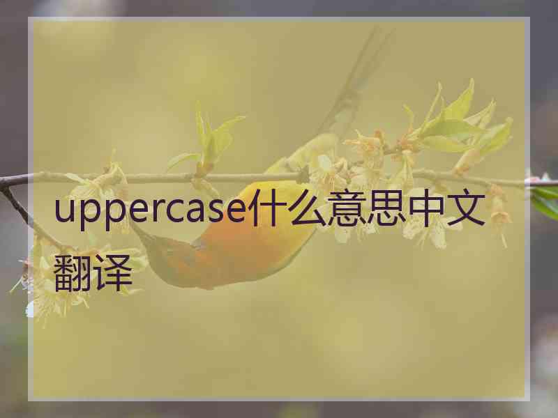 uppercase什么意思中文翻译