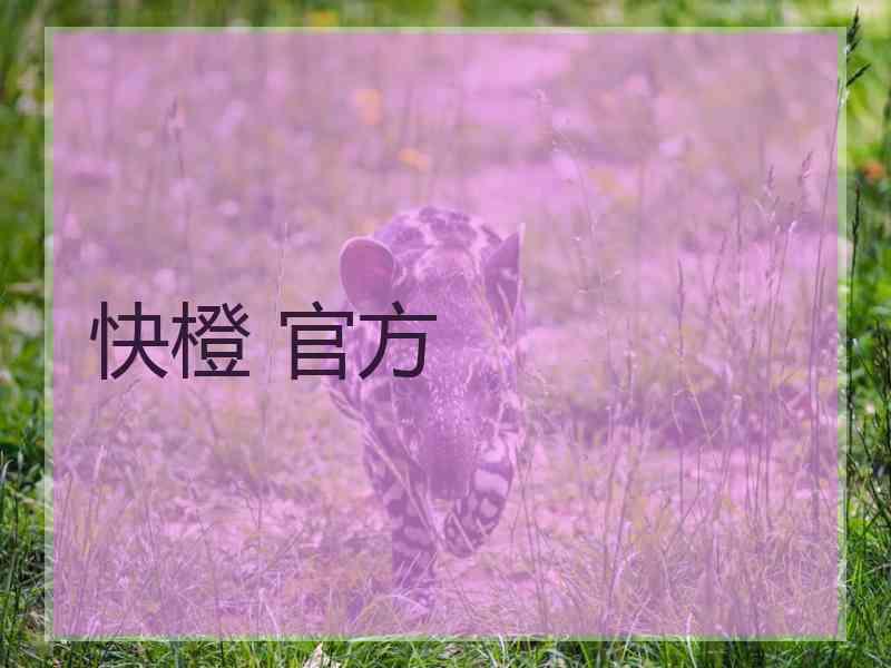 快橙 官方
