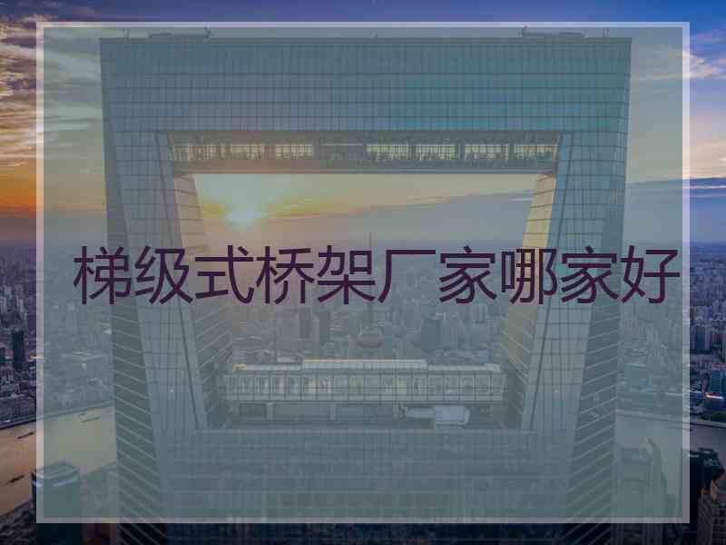梯级式桥架厂家哪家好