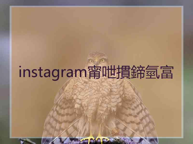 instagram甯呭摜鍗氫富
