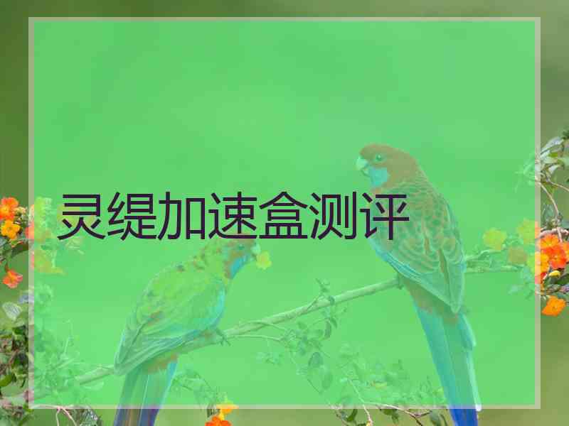 灵缇加速盒测评