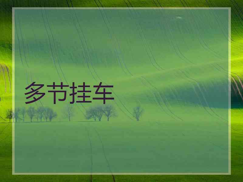 多节挂车