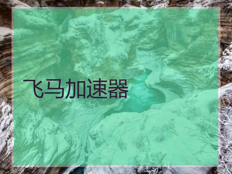 飞马加速器