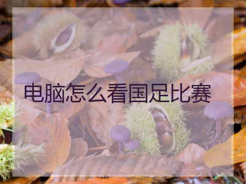 电脑怎么看国足比赛