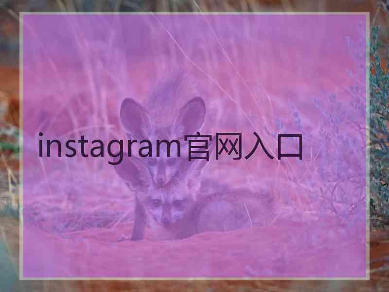 instagram官网入口
