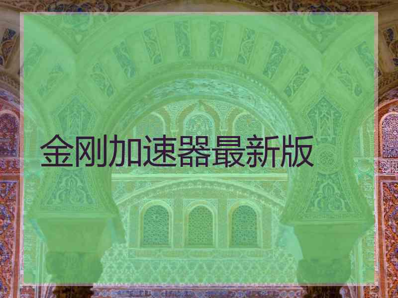 金刚加速器最新版