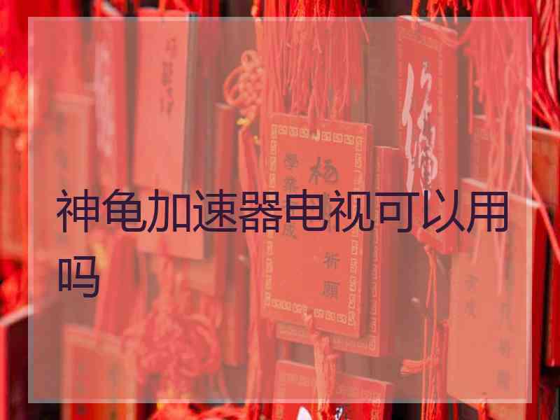 神龟加速器电视可以用吗