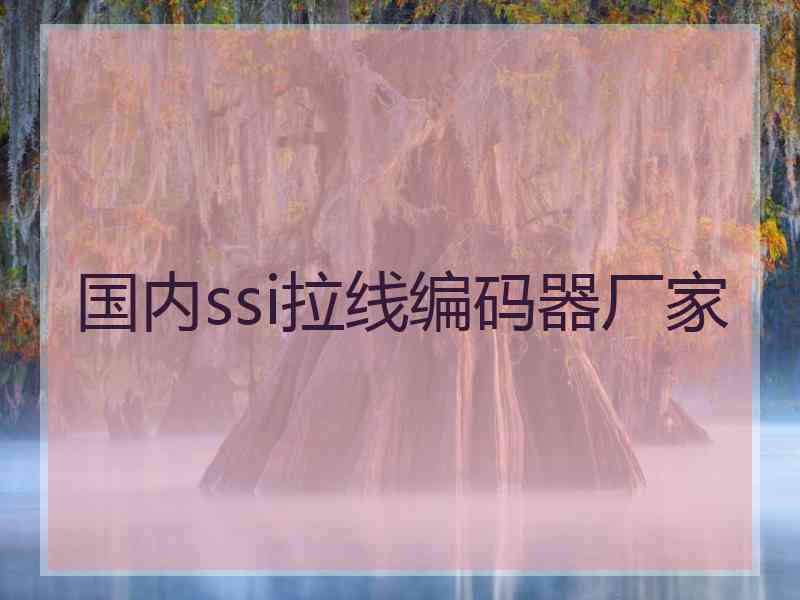 国内ssi拉线编码器厂家