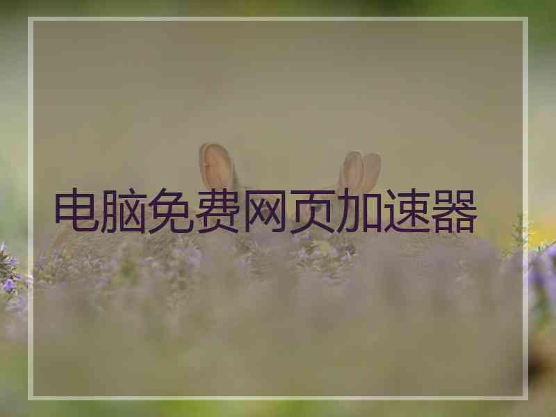 电脑免费网页加速器