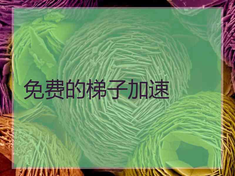 免费的梯子加速
