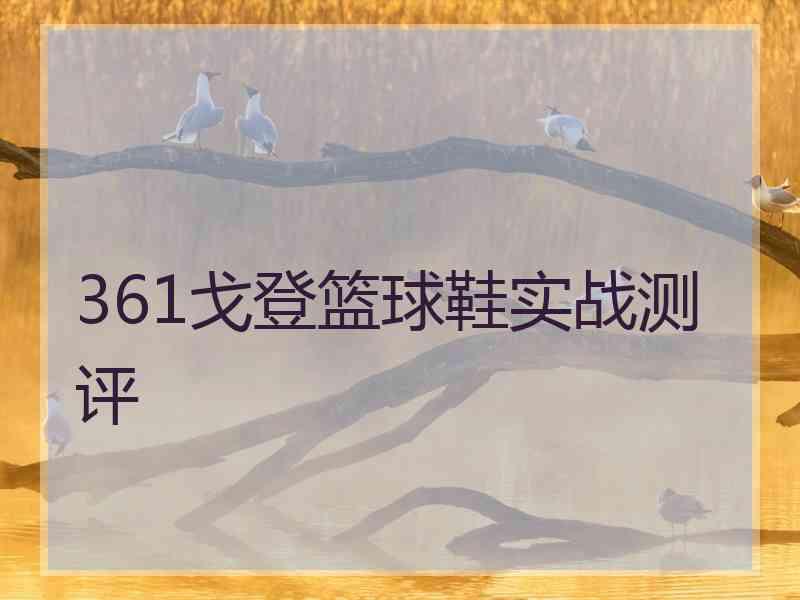 361戈登篮球鞋实战测评