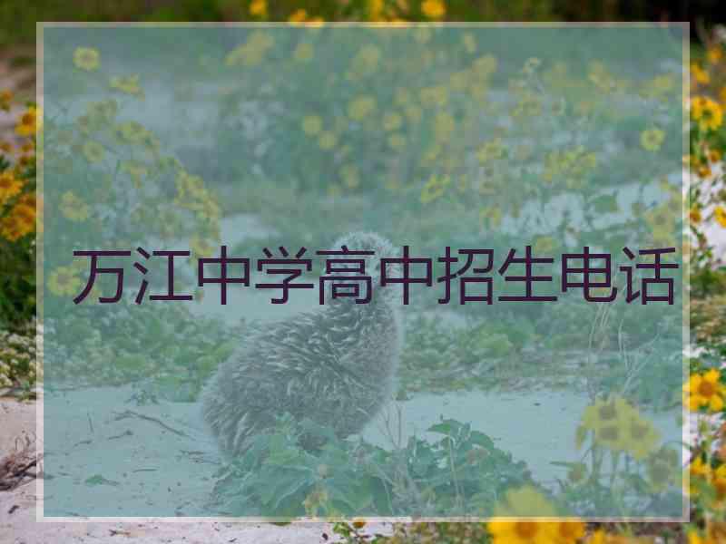 万江中学高中招生电话