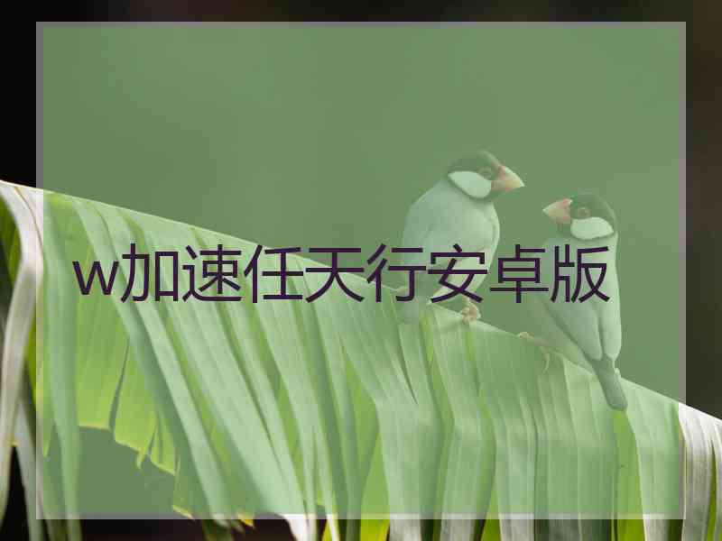 w加速任天行安卓版