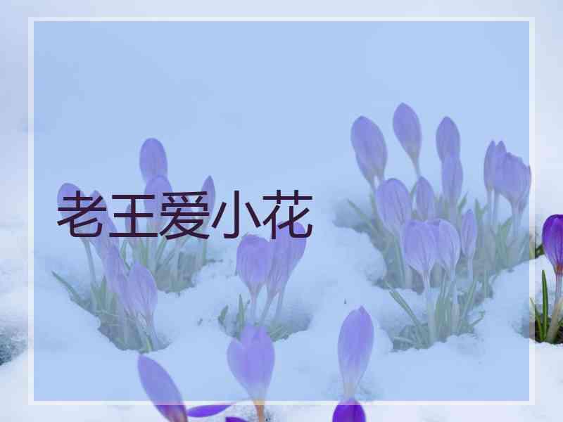 老王爱小花