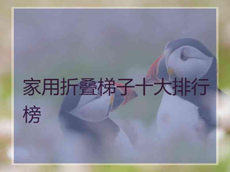 家用折叠梯子十大排行榜