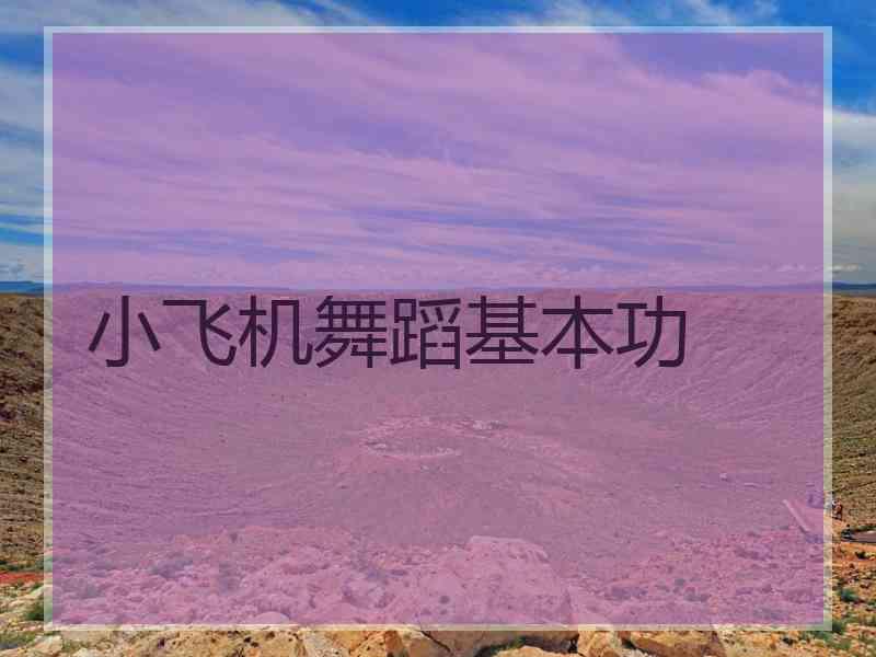 小飞机舞蹈基本功
