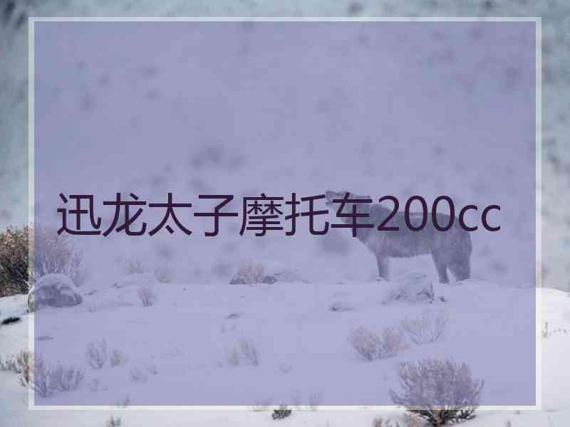 迅龙太子摩托车200cc