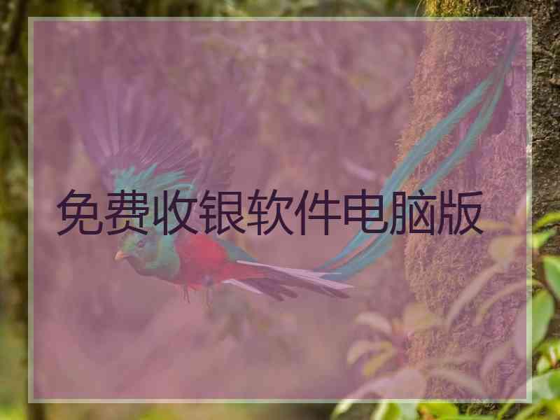 免费收银软件电脑版
