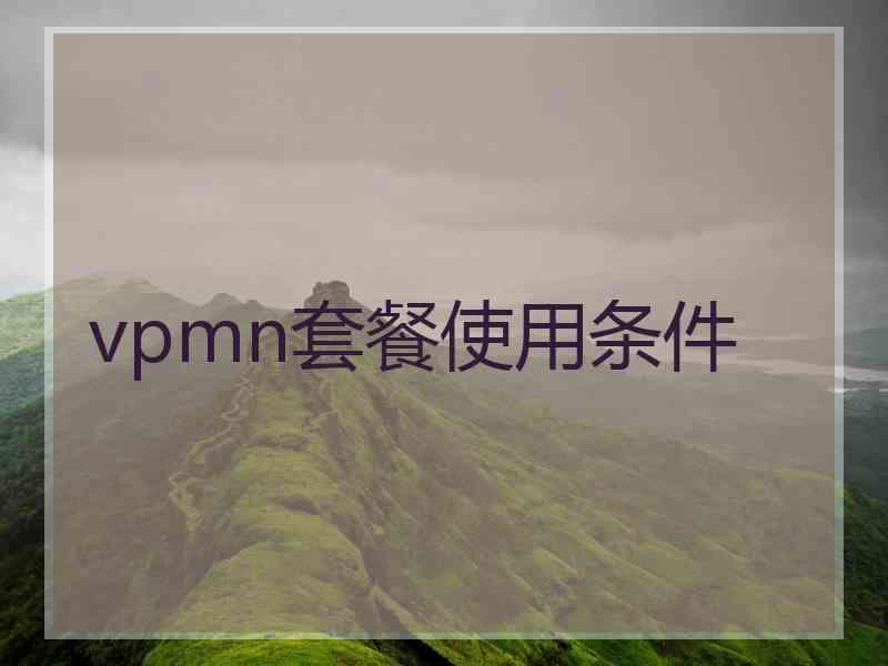 vpmn套餐使用条件